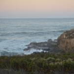 CambriaCN_201 (October 26, 2014)